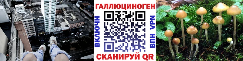 Галлюциногенные грибы мицелий  Купить где  Чудово 